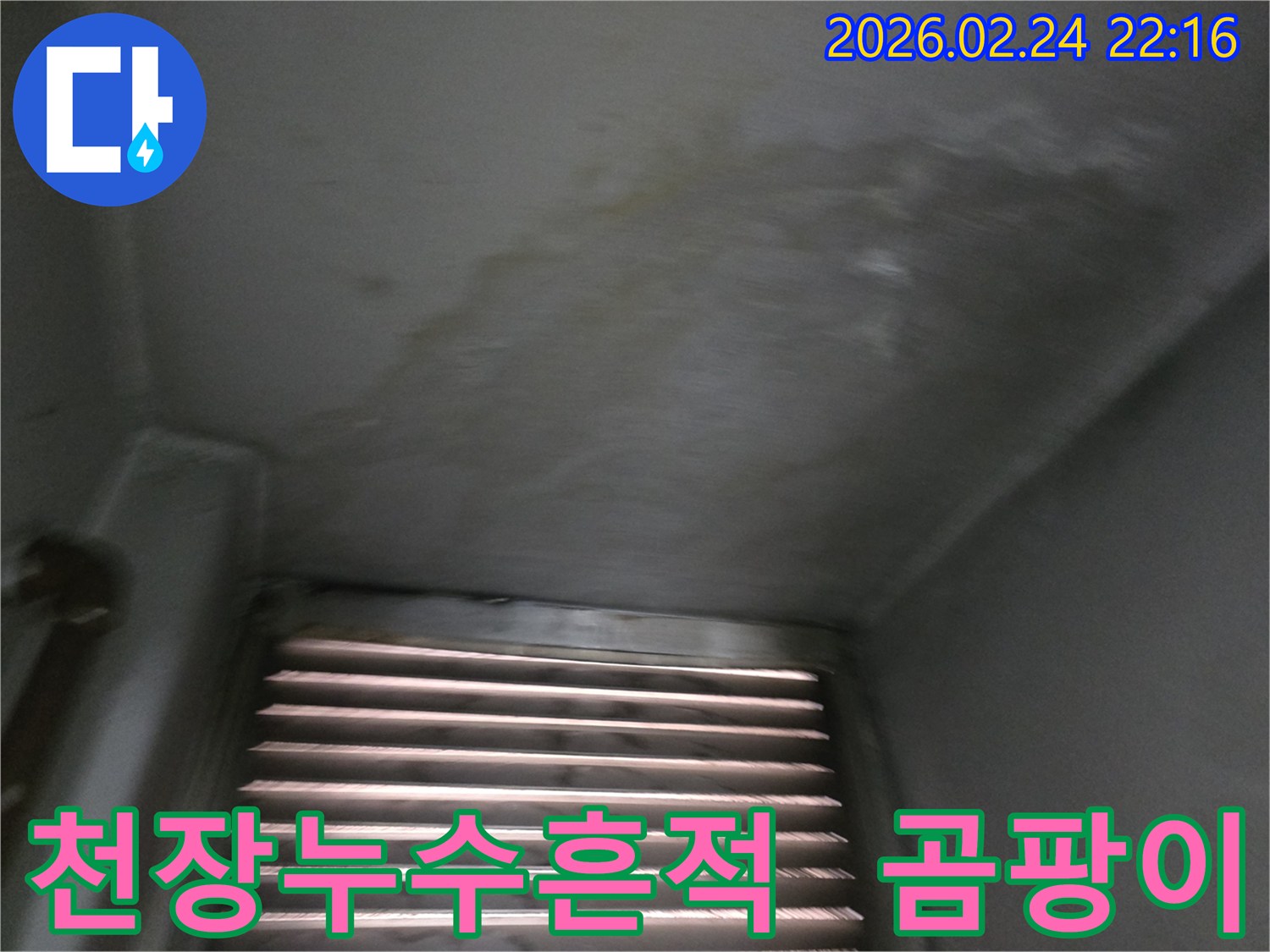천장에-오래된-누수-흔적과-함께-발생한-곰팡이-얼룩-사진입니다.