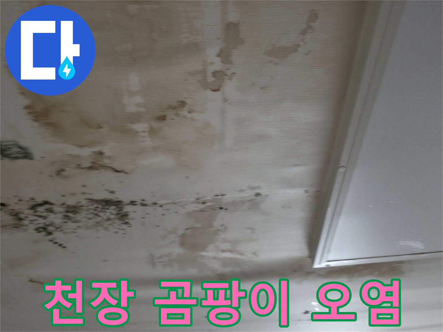 습기로 인해 검게 변한 천장 마감재와 곰팡이가 발생한 부위