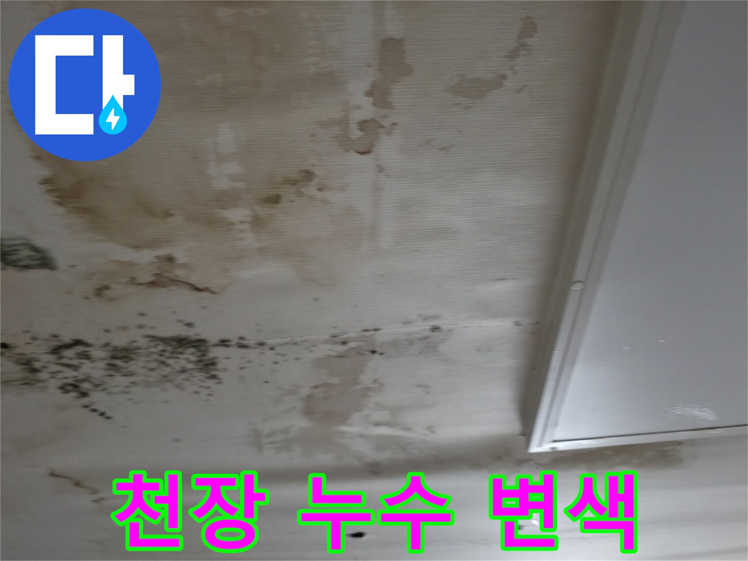 천장 마감재에 발생한 갈색 물샘 흔적과 오염된 부위