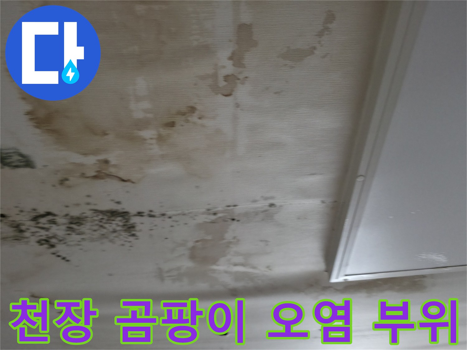 천장-마감재에-발생한-곰팡이와-물샘-흔적