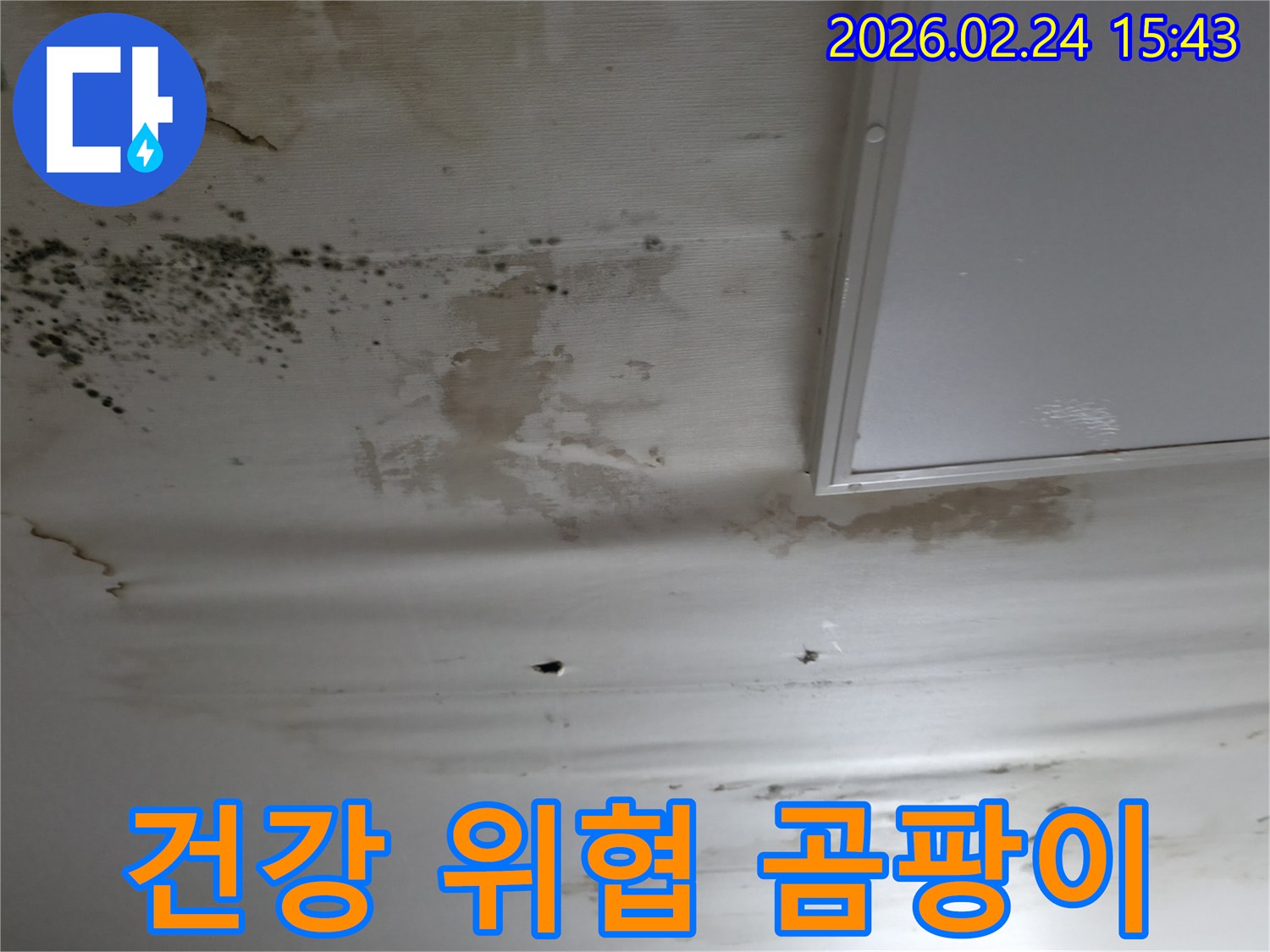 천장에-누수로-인해-발생한-심각한-곰팡이와-물얼룩으로-건강에-위협이-되는-현장-사진