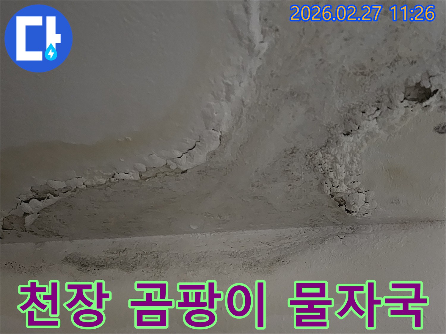 누수로-인해-천장에-광범위하게-퍼진-곰팡이와-물자국이-심각한-모습을-보여주는-사진입니다.