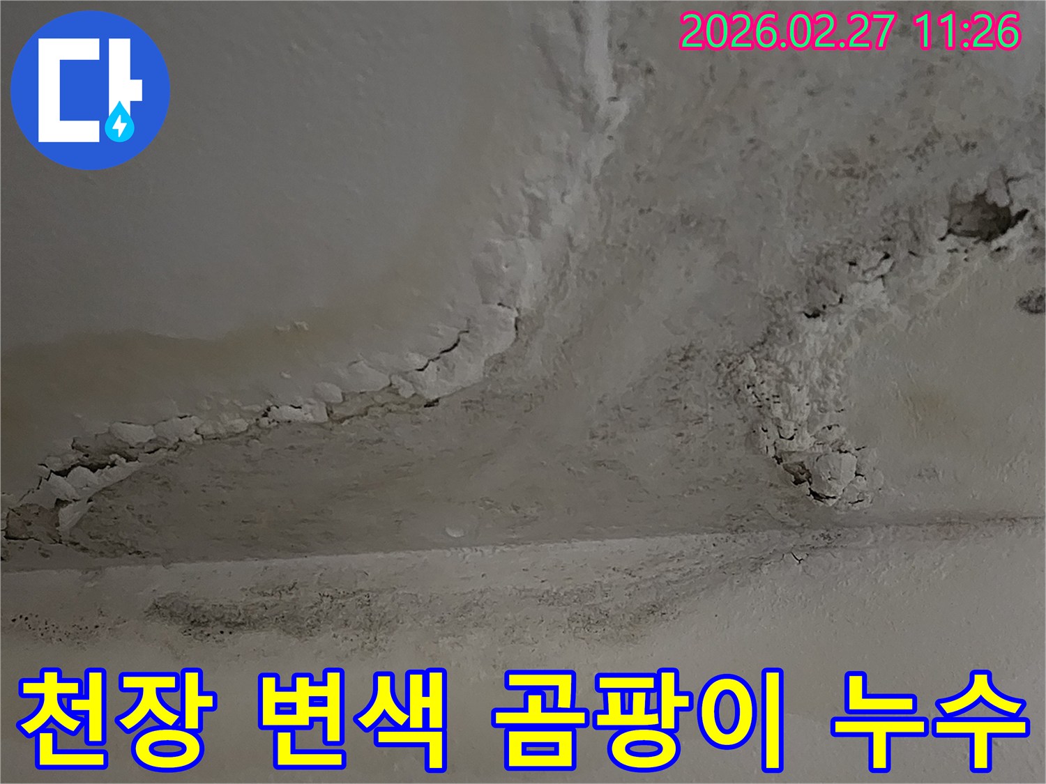 천장-전반에-걸쳐-누수로-인한-심한-변색과-곰팡이가-발생하여-긴급-조치가-필요한-상황을-보여줍니다.