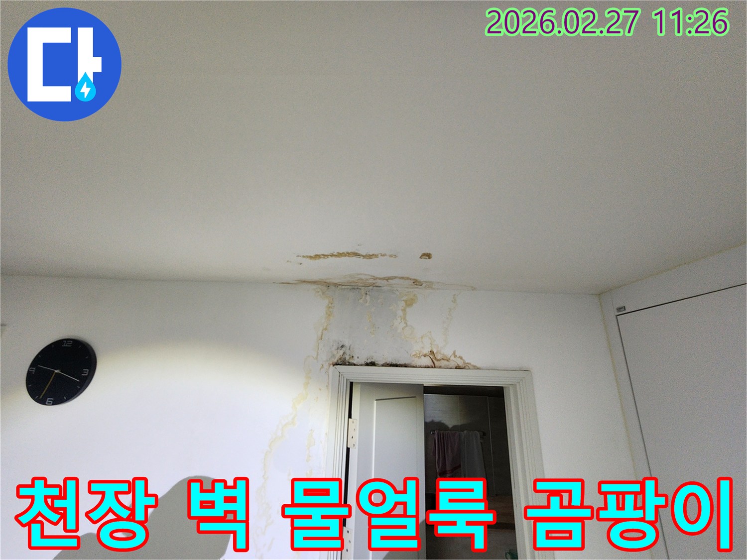 천장과-벽면에-물얼룩과-누수-흔적이-뚜렷하게-나타난-현장-사진