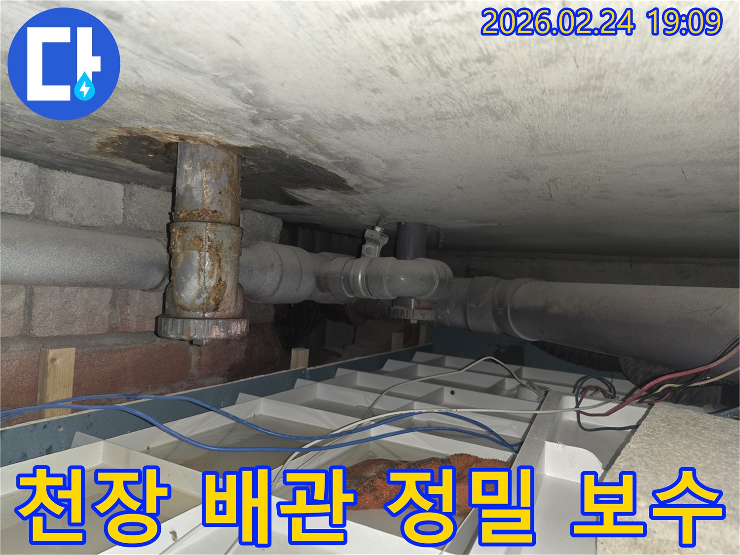천장 아래의-낡은 배관에서-물이 새어 나와-임시 물받이에-고인 현장