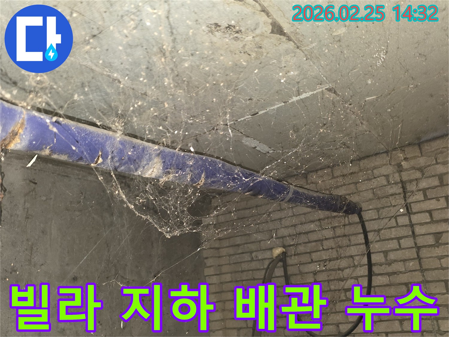 강동구 진황도로 인근 빌라-지하 천장 배관 주변에-거미줄이 엉켜있는-누수 의심 현장 모습을 담은 사진입니다.