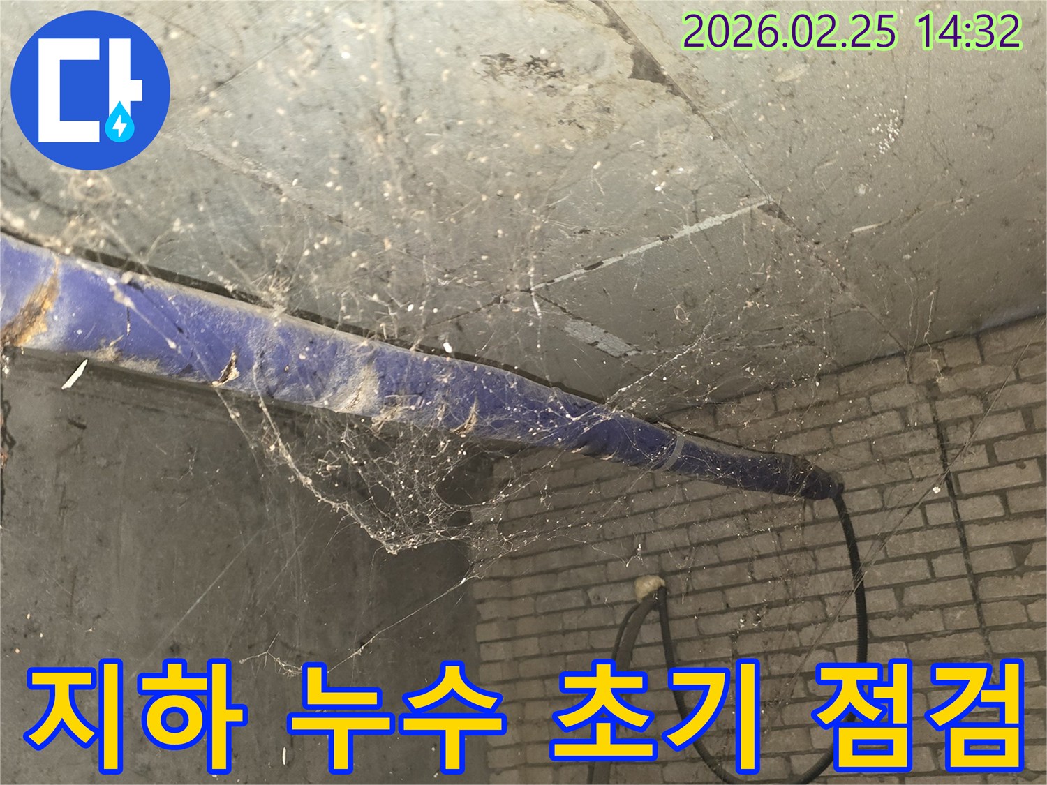 강동구 진황도로 인근-지하 공간의 천장에-거미줄과 먼지가 가득한-누수 탐지 전-초기 현장 점검 모습입니다.