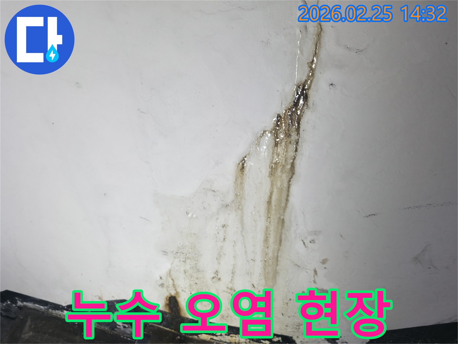 누수로 인해-벽지가 젖고-오염된 상태를-명확히 보여주는-현장 사진
