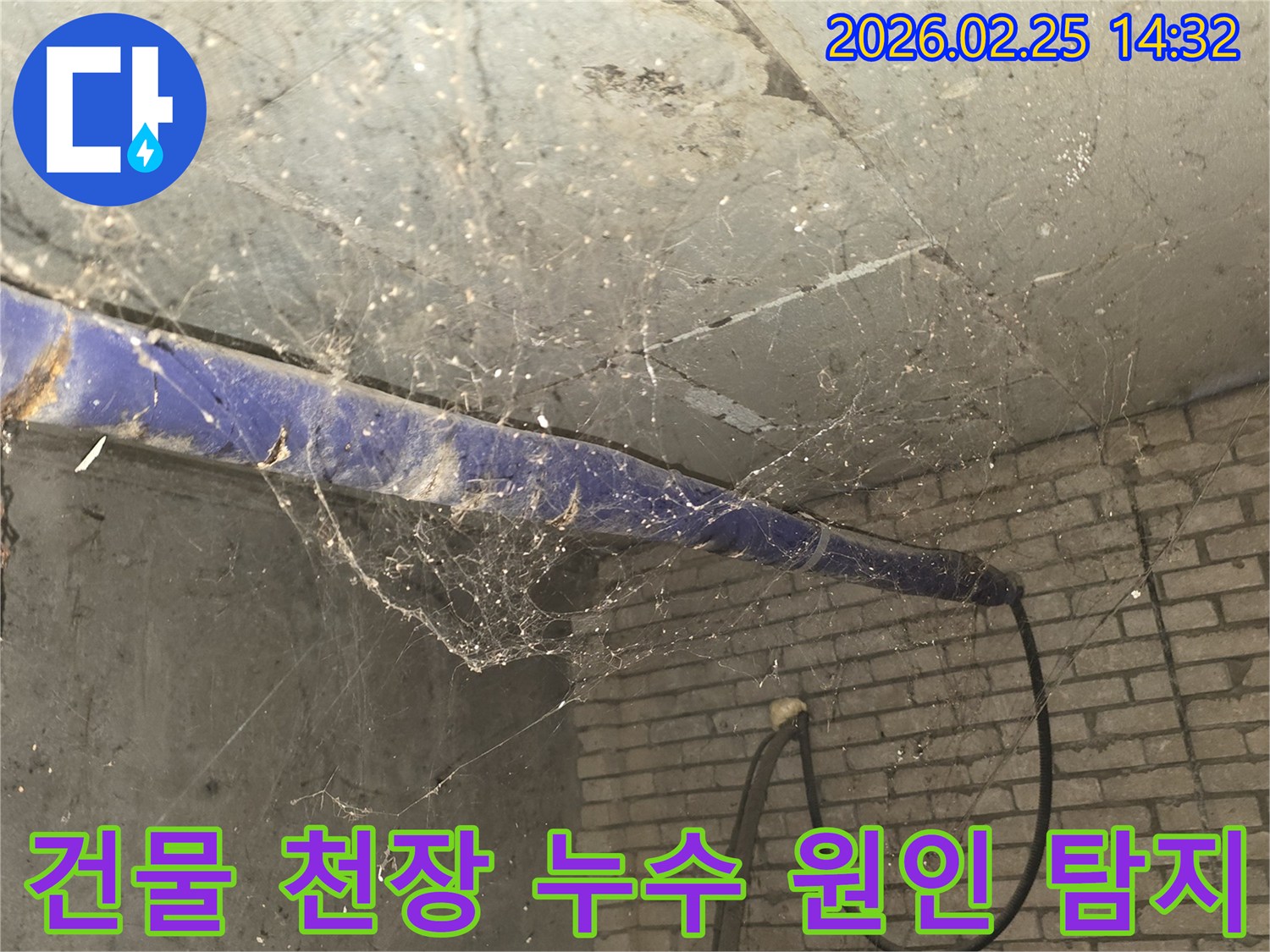 서울 강동구 진황도로 인근-건물 지하 천장에-거미줄과 먼지가 쌓여있는-누수 원인 탐지 전 현장 모습입니다.
