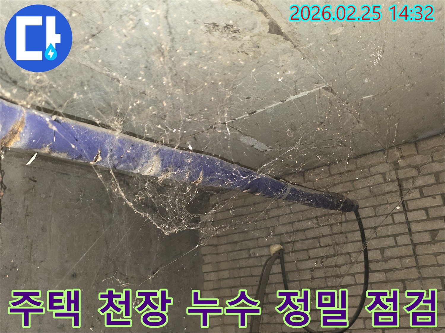 서울 강동구 진황도로 인근 주택-지하 천장에 거미줄이 가득한-누수 정밀 점검 전-현장 상황을 담은 사진입니다.