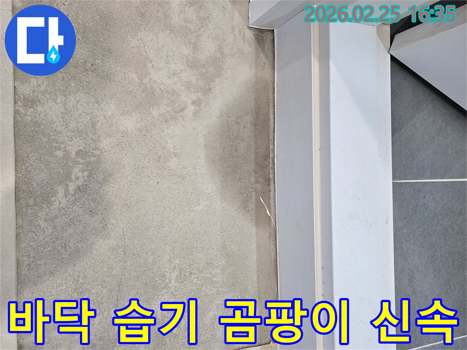 누수-전문가가-바닥에-나타난-습기-흔적을-통해-곰팡이-발생-전에-신속하게-누수-원인을-찾아-조치하는-모습