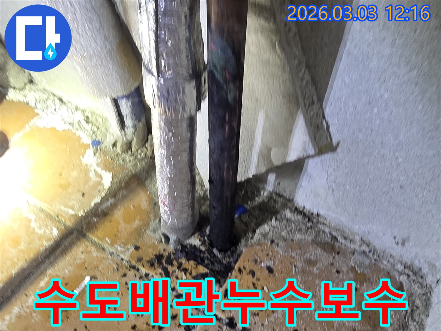 양주-광적면-주택의-수도배관에서-발생한-누수-지점을-정확히-찾아내기-위해-전문가가-정밀-진단-장비를-사용하여-현장을-점검하고-보수하는-모습