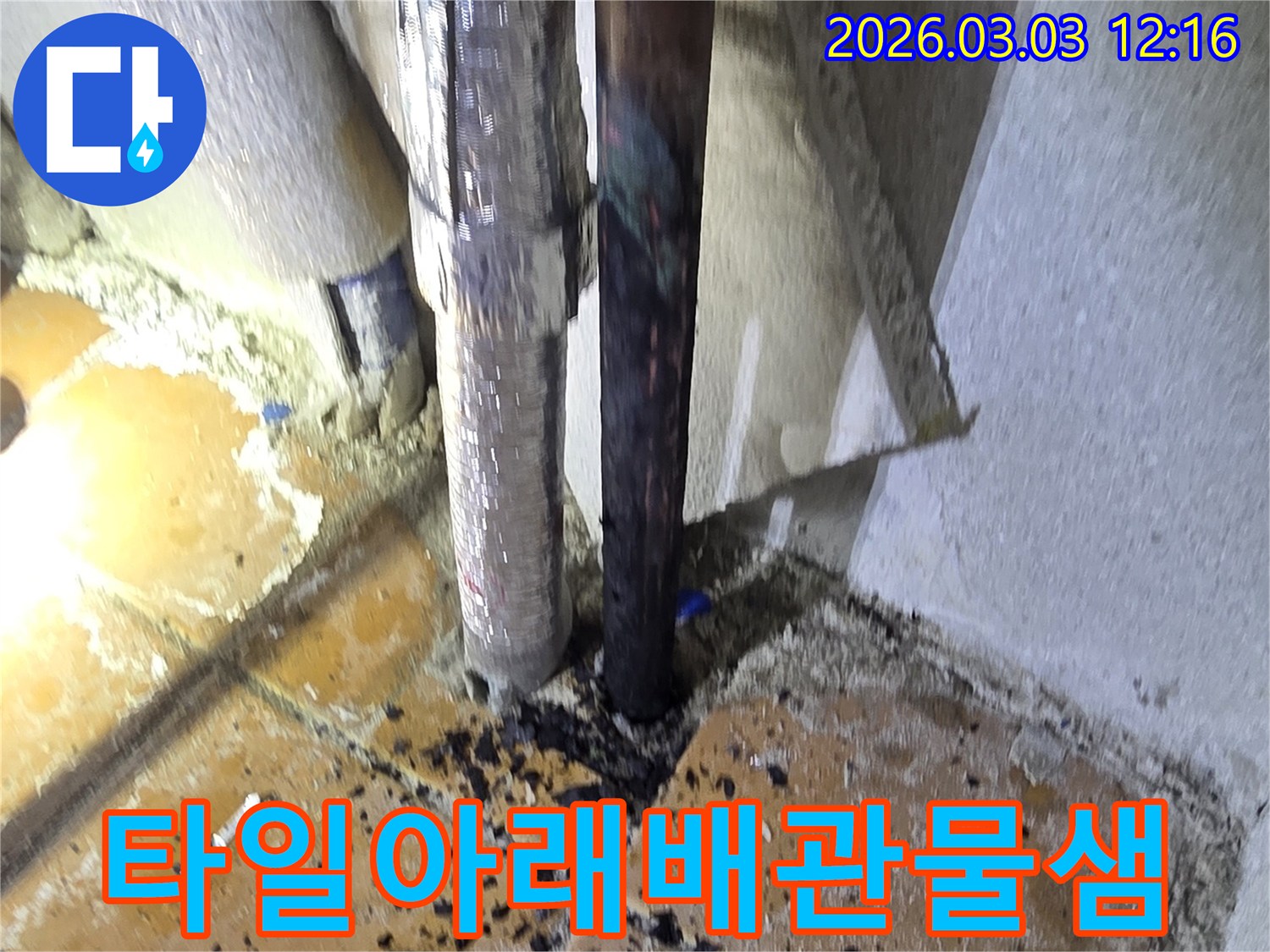 양주시-광적면-주택의-타일-아래-배관에서-물이-새어-나와-주변을-적시고-있는-누수-현장을-면밀히-확인하는-모습