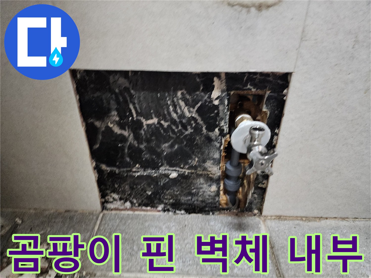 누수 지점 노출-곰팡이가 번식한 배관 주변 벽면