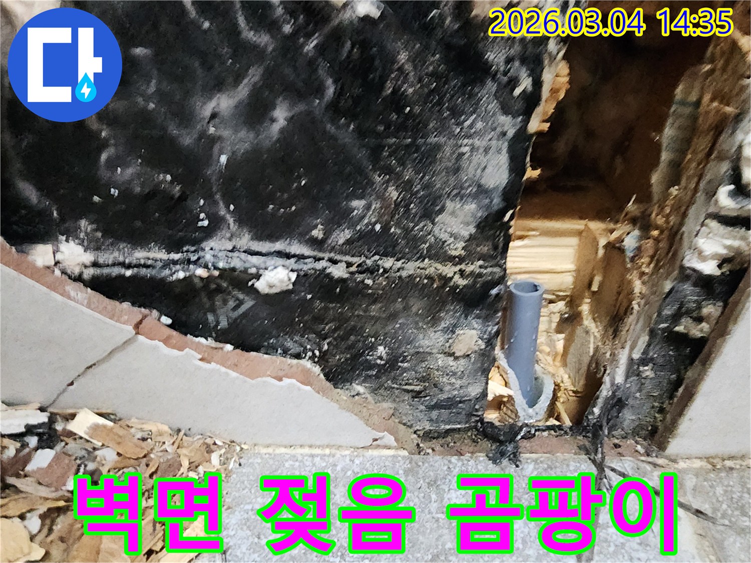 벽면의 젖음과 곰팡이-그리고 노출된 배관은 누수의 명확한 증거입니다