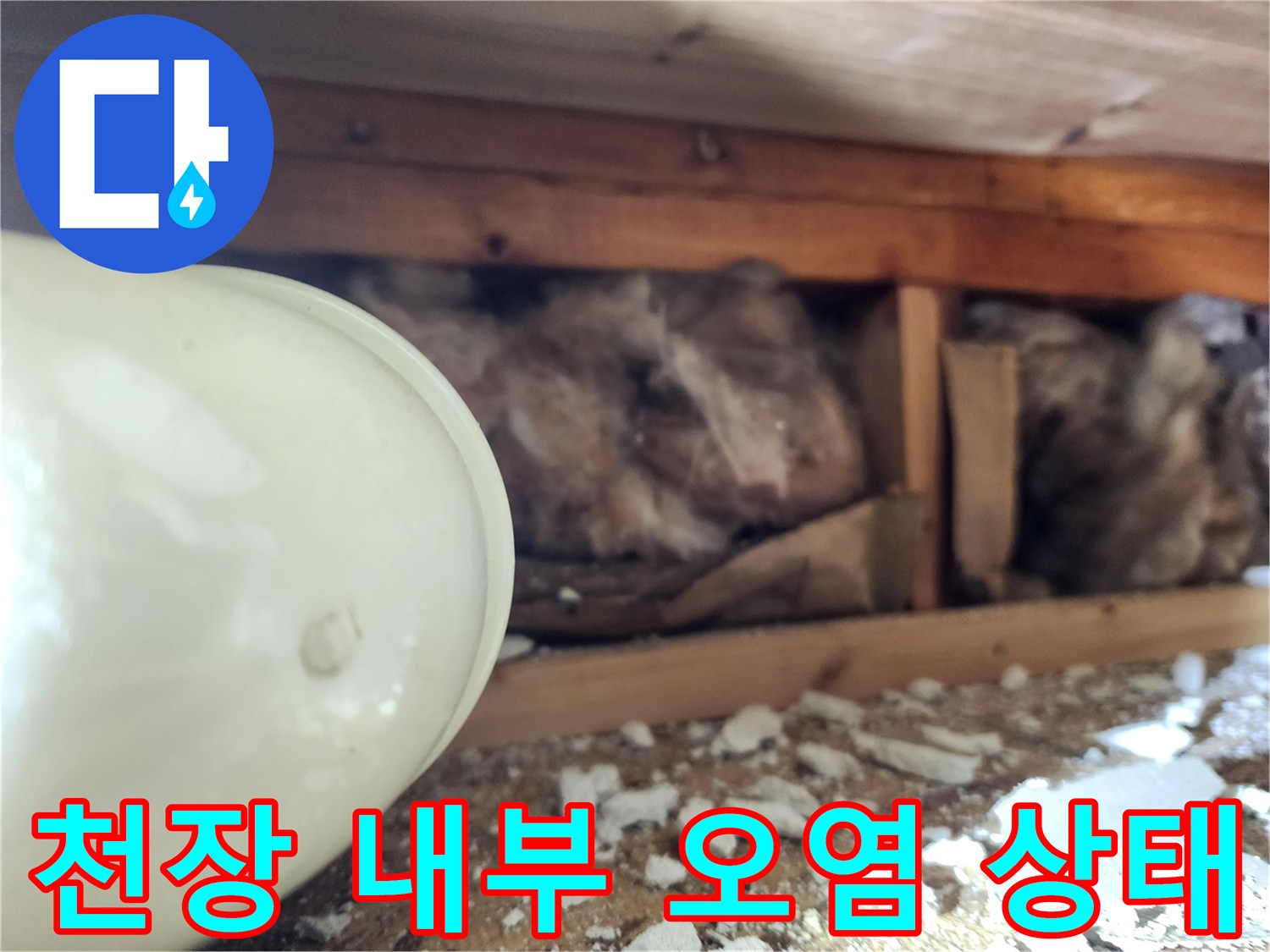 습기에 노출된 천장 구조-물샘으로 인해 오염된 단열재와 목재