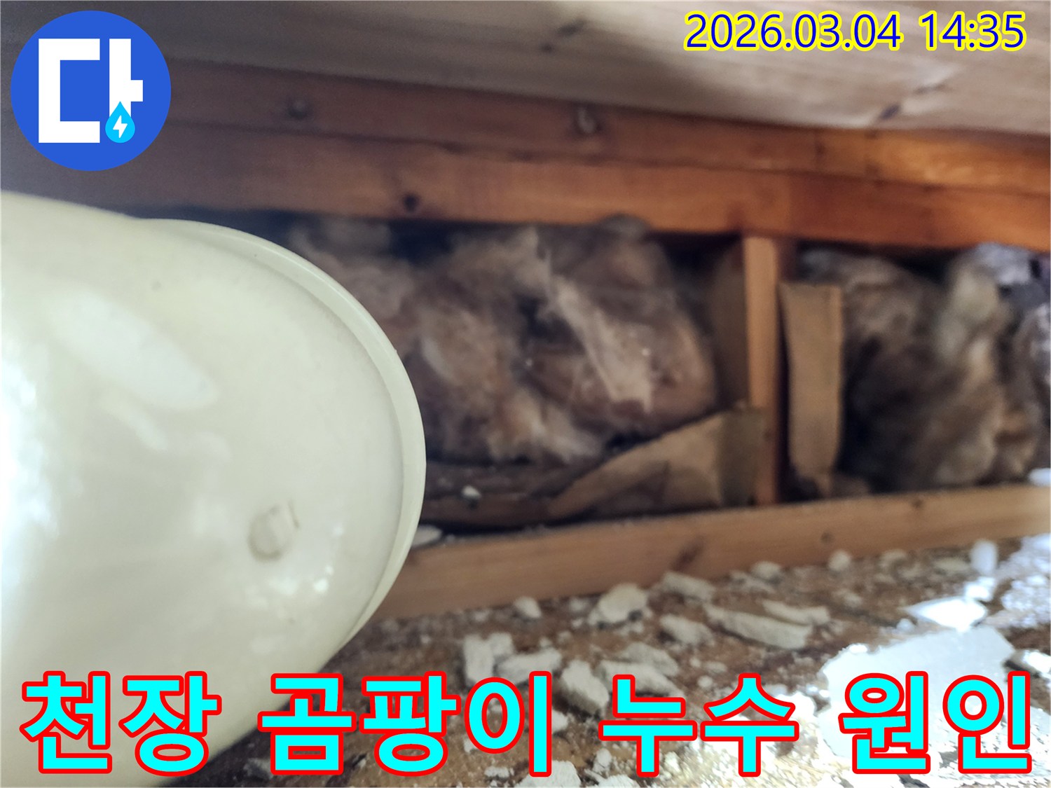 천장 내부의-습기와 누수로 인해-발생한 곰팡이와-오염된 단열재를-누수 엔지니어가-면밀히 살펴보는-현장 사진