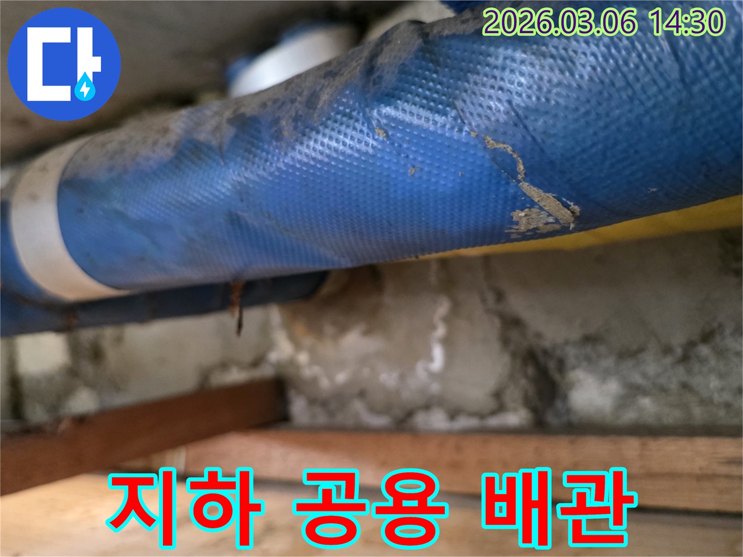 아파트 지하의-파란색 공용 배관과-젖은 콘크리트 벽면-그리고 나무 지지대를-꼼꼼히 점검하는 모습