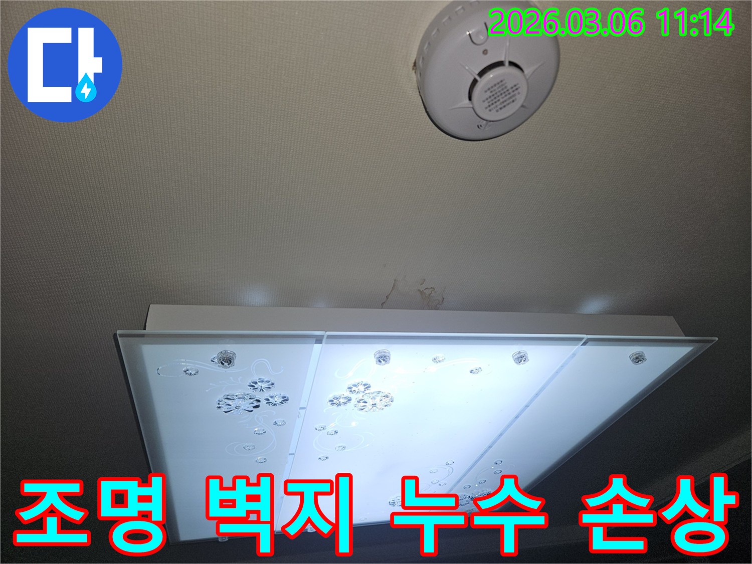 천장 조명 주변 벽지에 생긴 누수 손상 흔적을-전문가가 꼼꼼히 확인하며 복구 계획을 세우는 모습