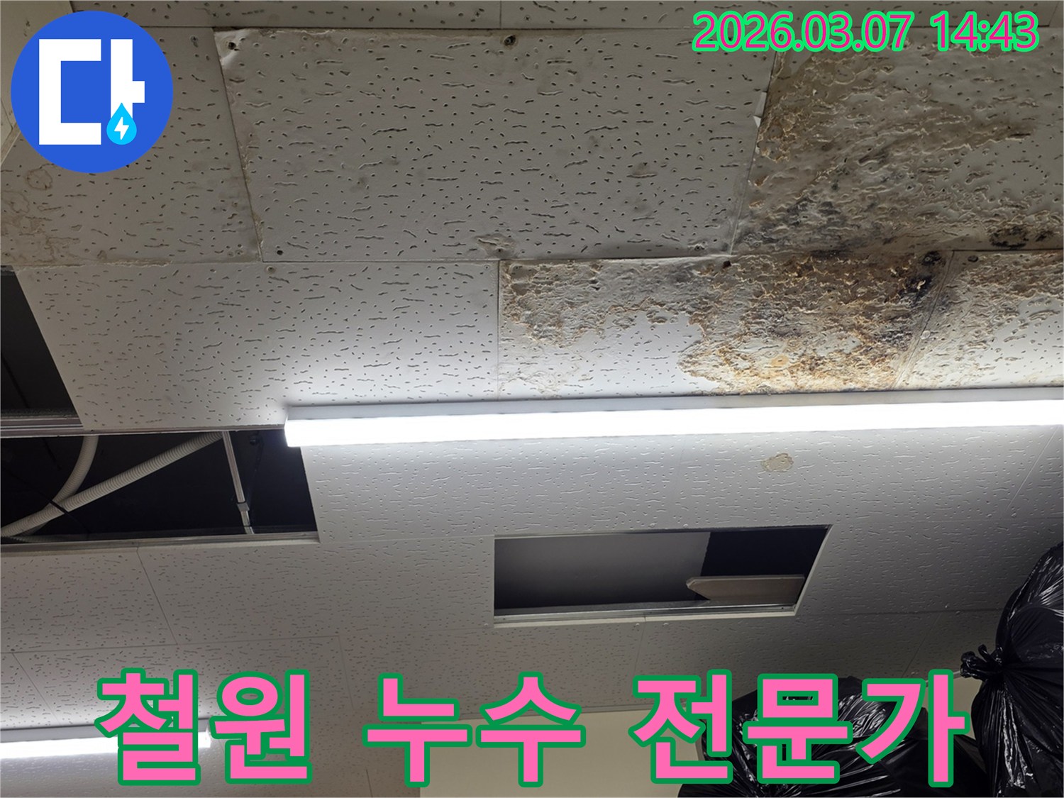 누수로-손상된-천장 텍스-현장을-철원-지역의-누수-전문가가-방문하여-빠르고-정확하게-진단하고-해결하는-모습을-연상시키는-사진입니다
