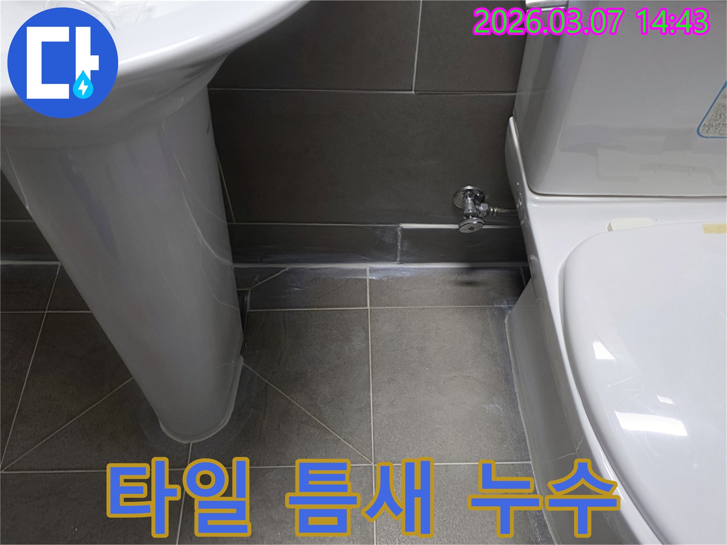 세면대와-변기 사이-벽면에서-물기가-발견된-현장-사진입니다.