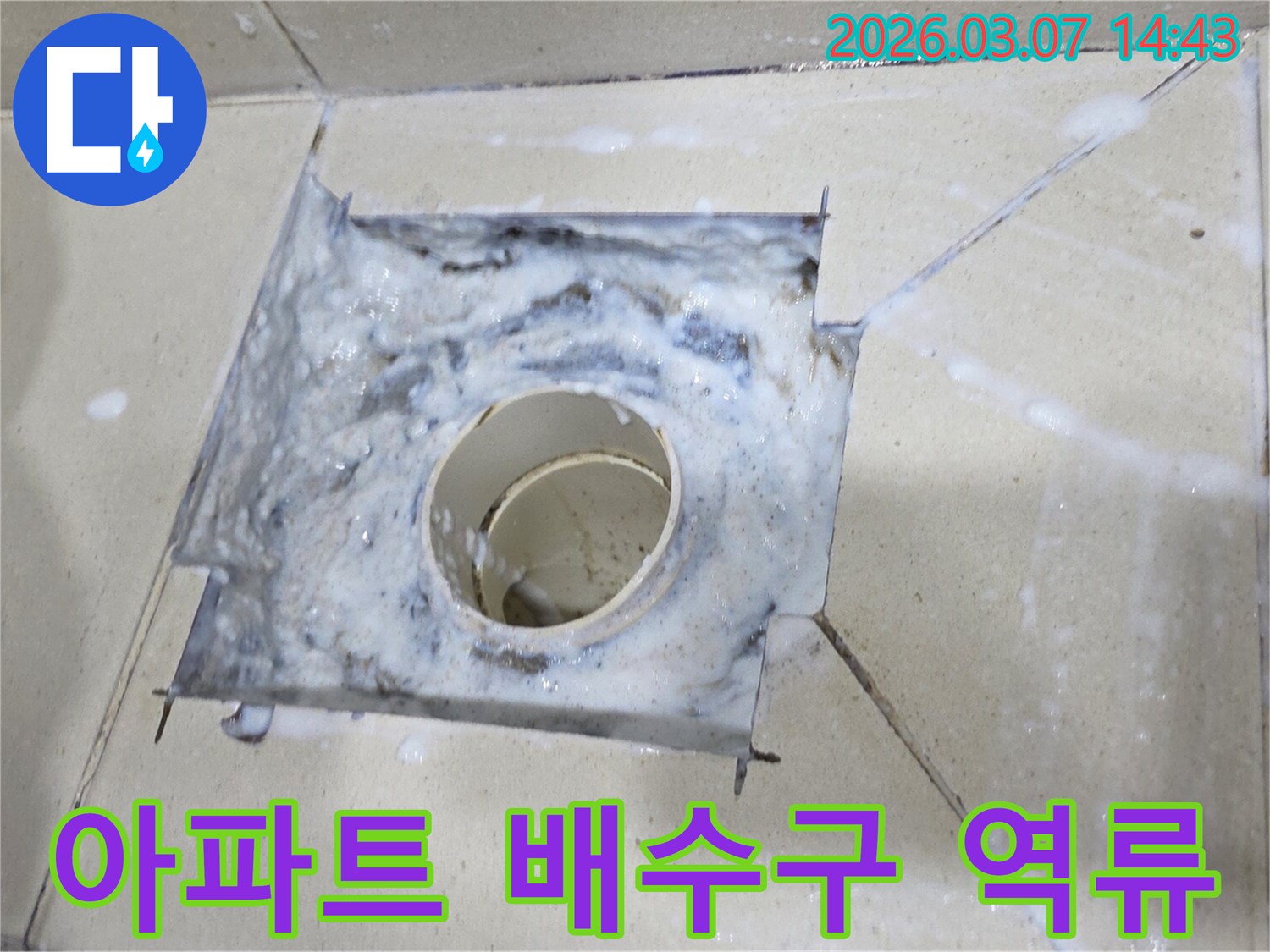 아파트 욕실 배수구에서 하얀 물거품이 솟아오르는-심각한 배수 시스템 문제를 보여줍니다.