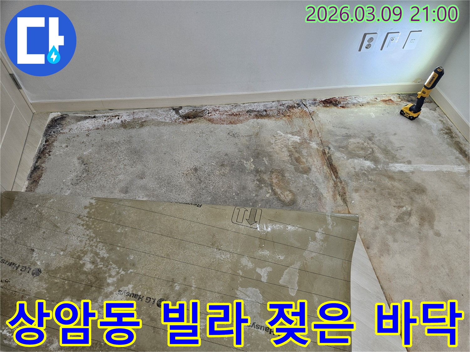 마포구-상암동-빌라-바닥에서-발견된-오래된-누수-흔적과-벽면의-백화-현상-젖은-바닥-상태