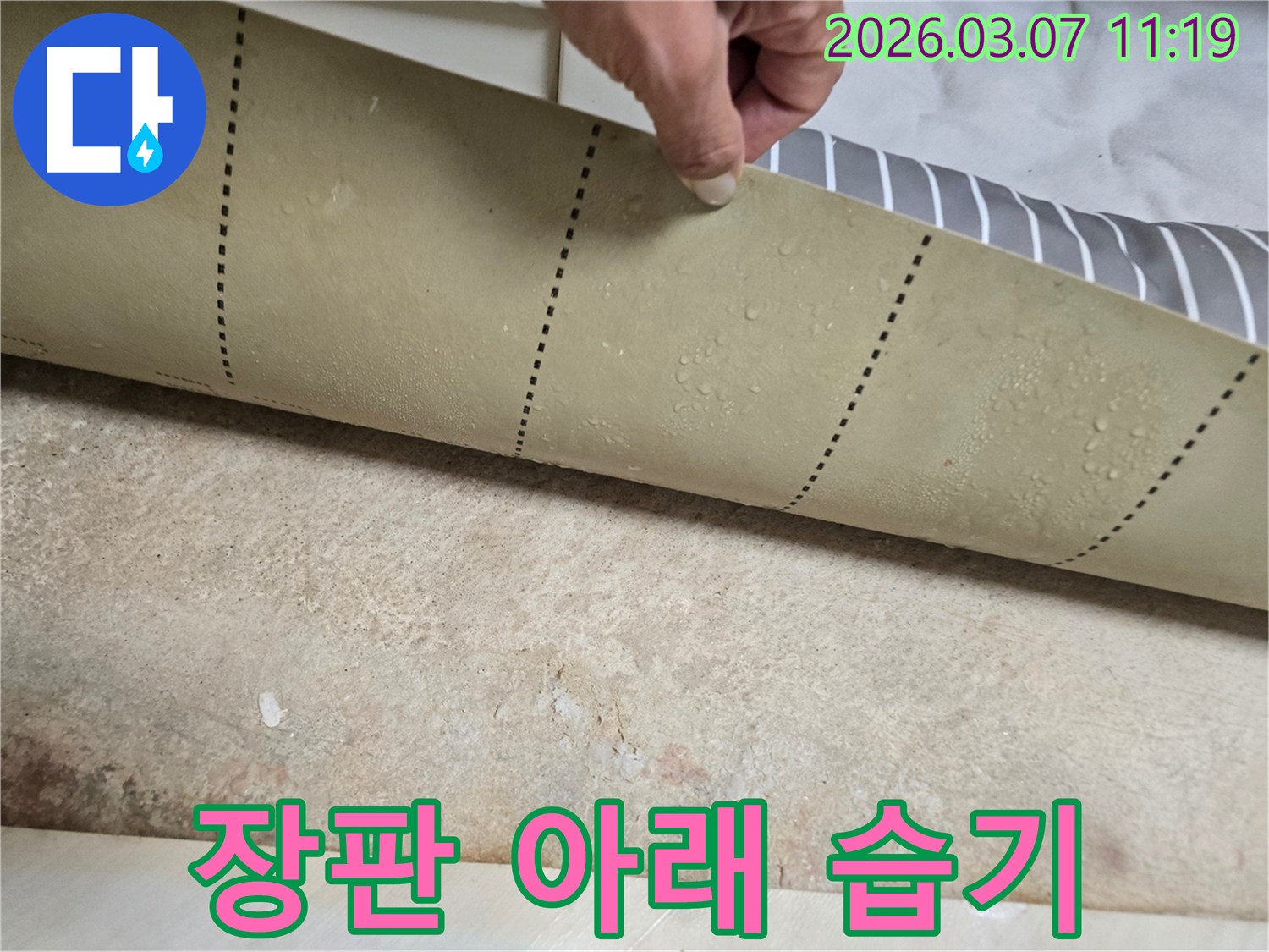 물방울이-맺힌-장판-뒷면과-젖은-바닥이-보이는-누수-현장
