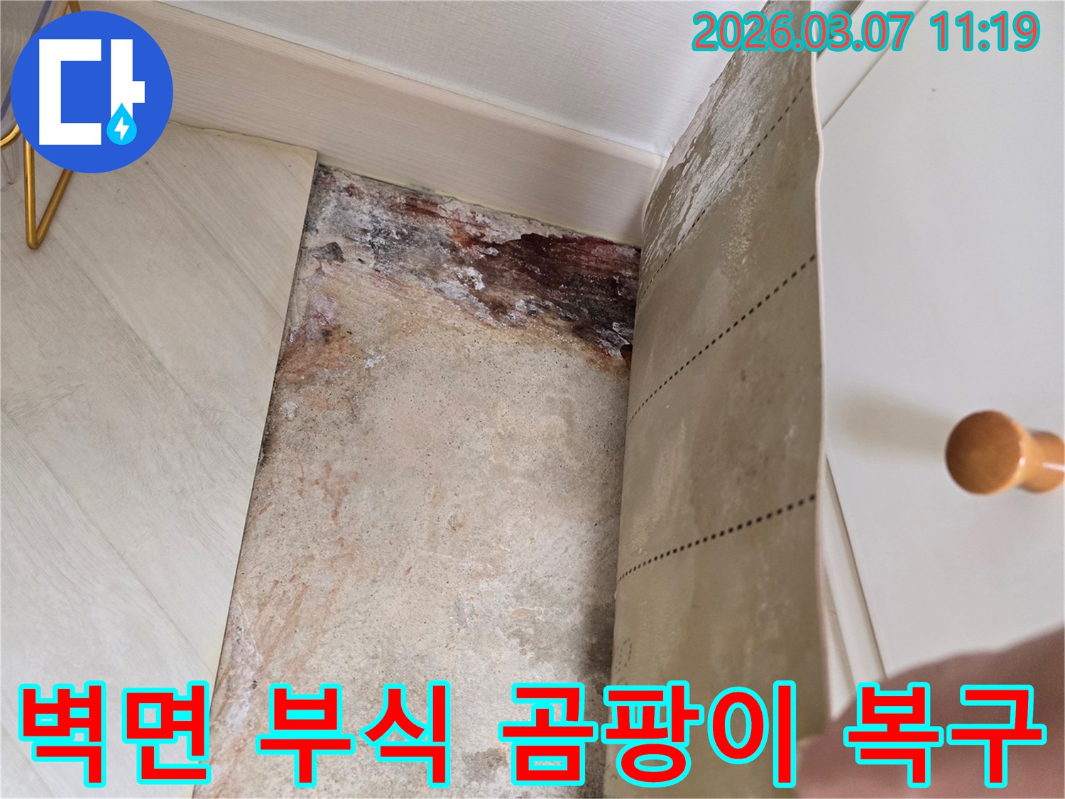 벽지를 제거한 후 드러난 벽면의 심각한 부식과-곰팡이로 오염된 벽면의 상세 이미지