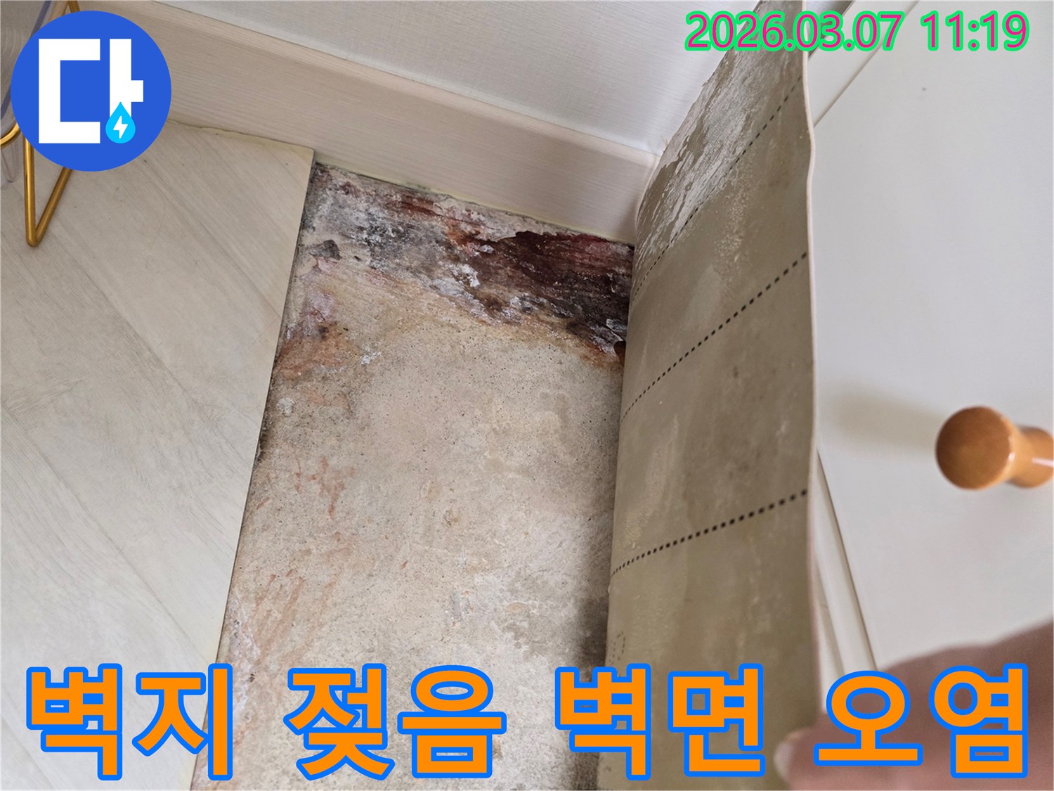 빌라 벽면에서 벽지를 제거한 후 드러난 심각한 물기로 인한 오염과-곰팡이-부식 흔적