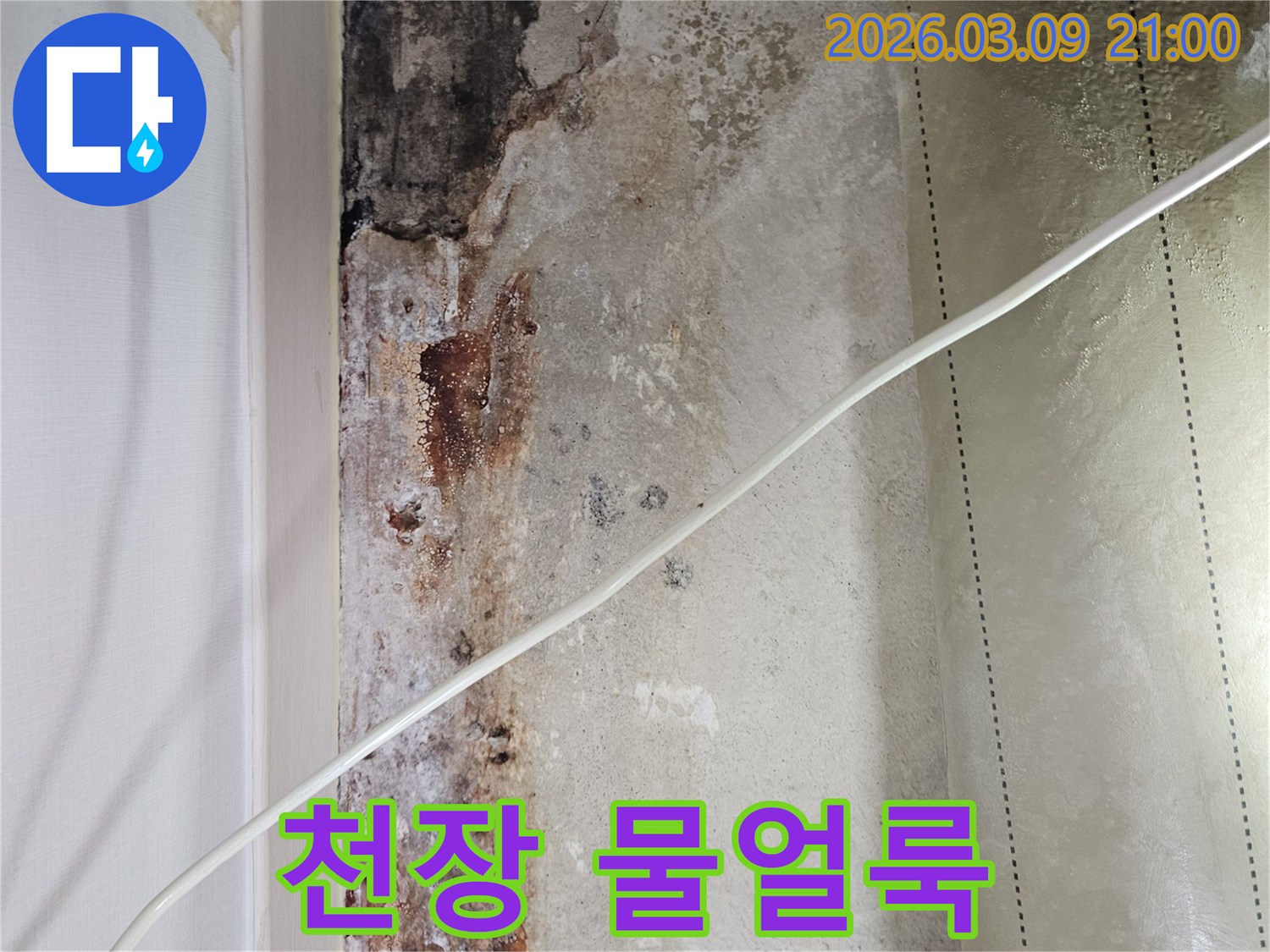 천장-마감재에-생긴-누수-얼룩과-변형-현상-상세-사진