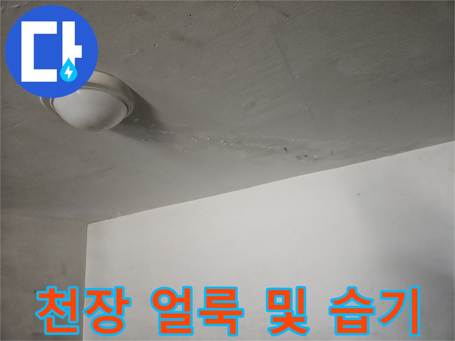 주차장 천장 마감재에 나타난 누수 흔적과 변색 부위