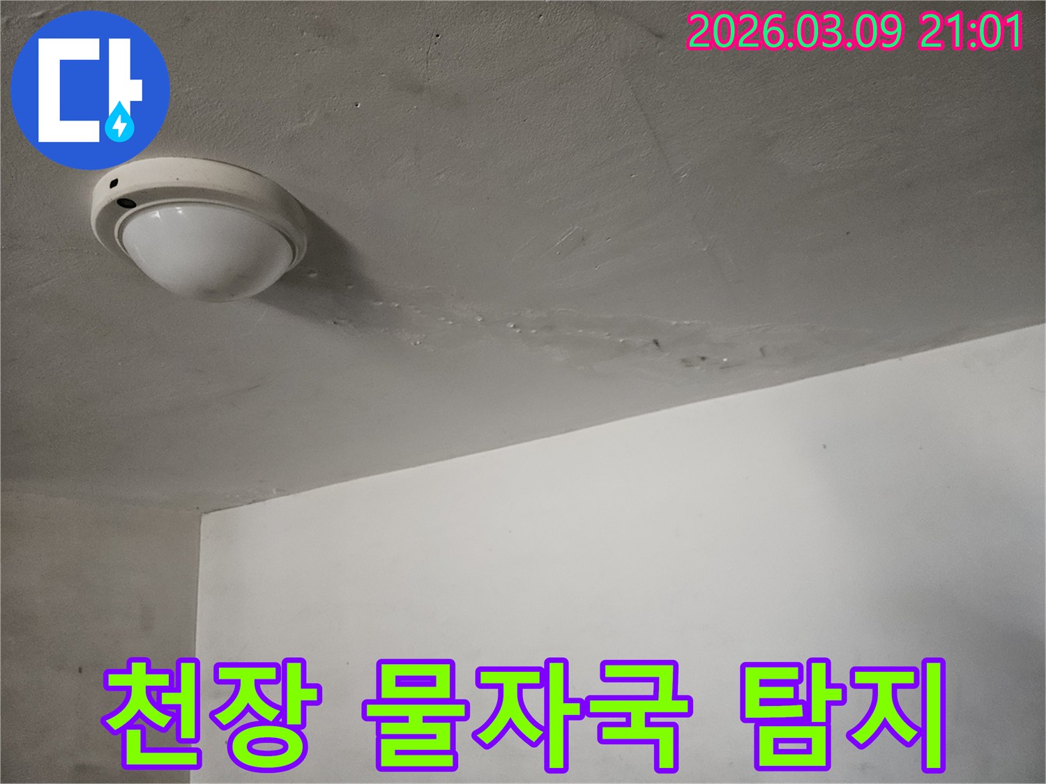 천장-조명-주변에-물에-젖어-생긴-물자국이-선명하게-보이는-곳으로-누수-탐지-업체의-도움이-필요한-현장입니다