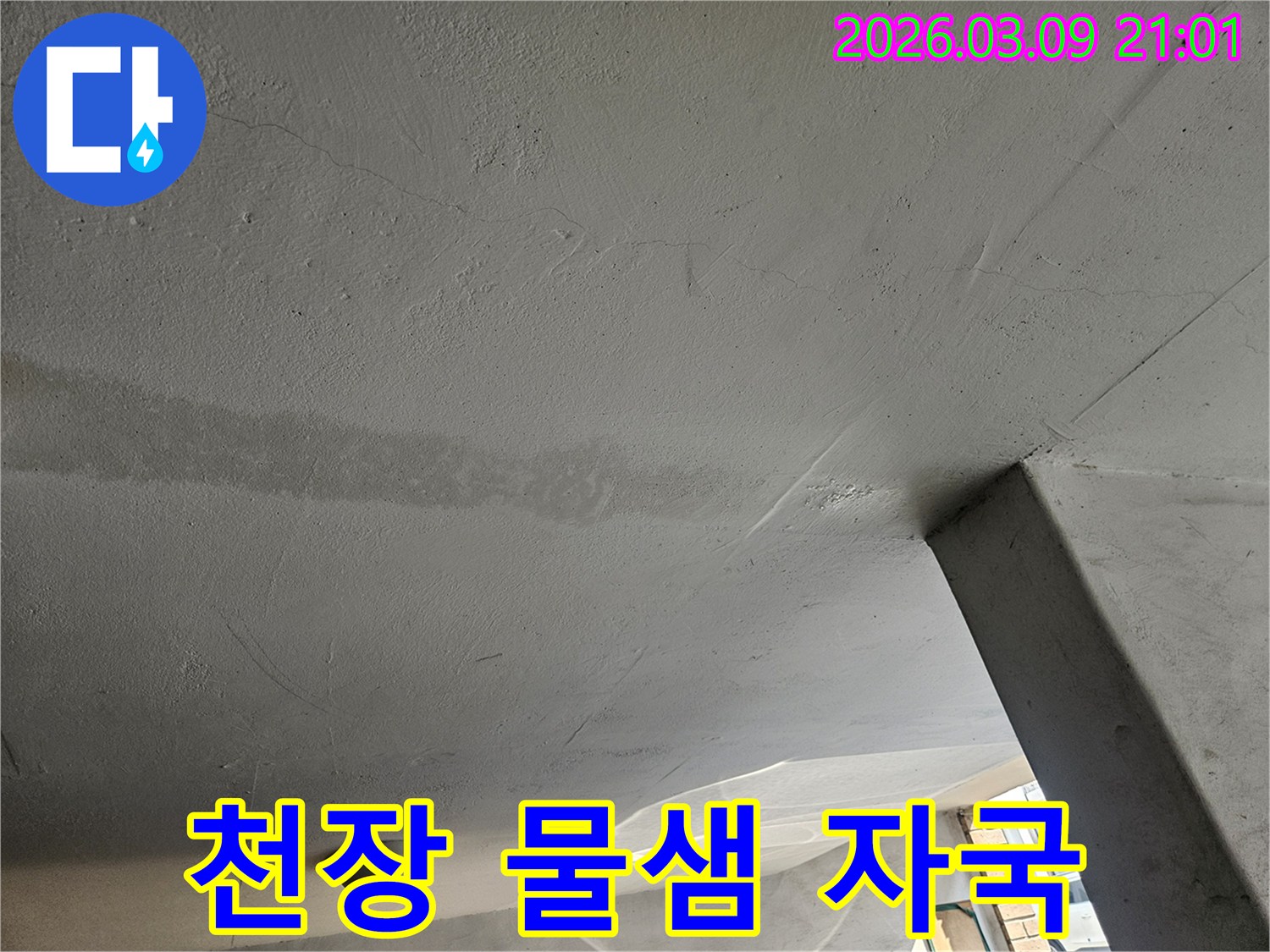 천장-콘크리트에-나타난-물샘-자국을-찍은-사진