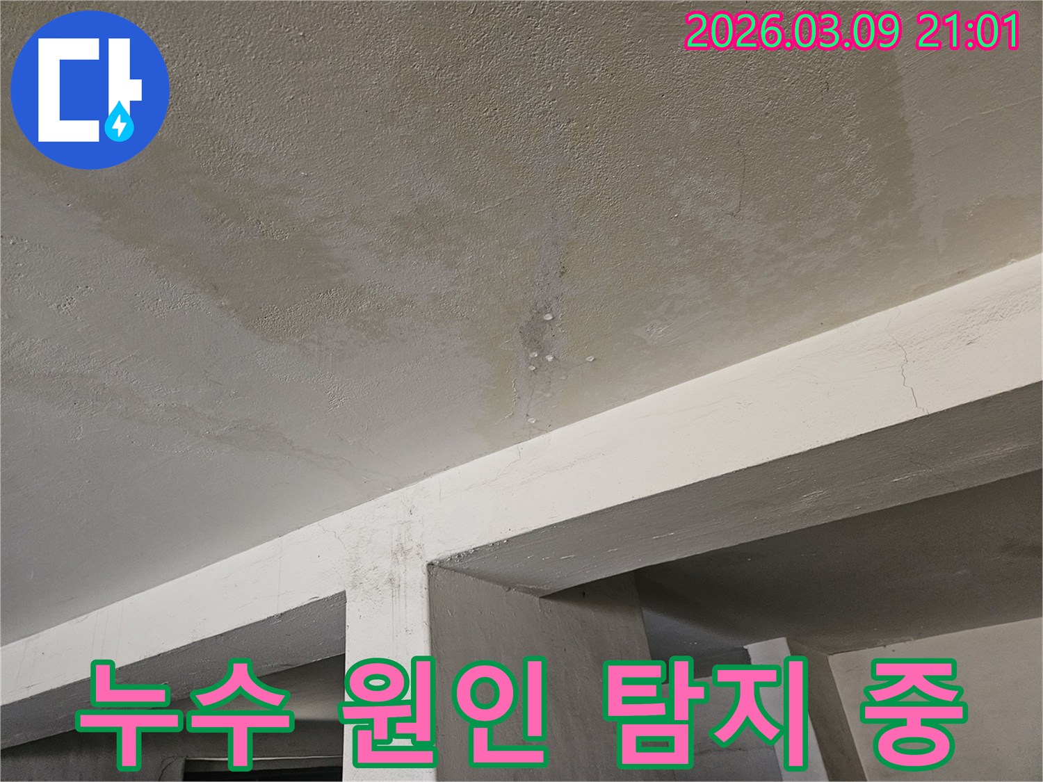 콘크리트 천장에서-물이 새어-얼룩지고-물방울이 맺힌-누수 현장을-엔지니어가-탐지하는-모습입니다.