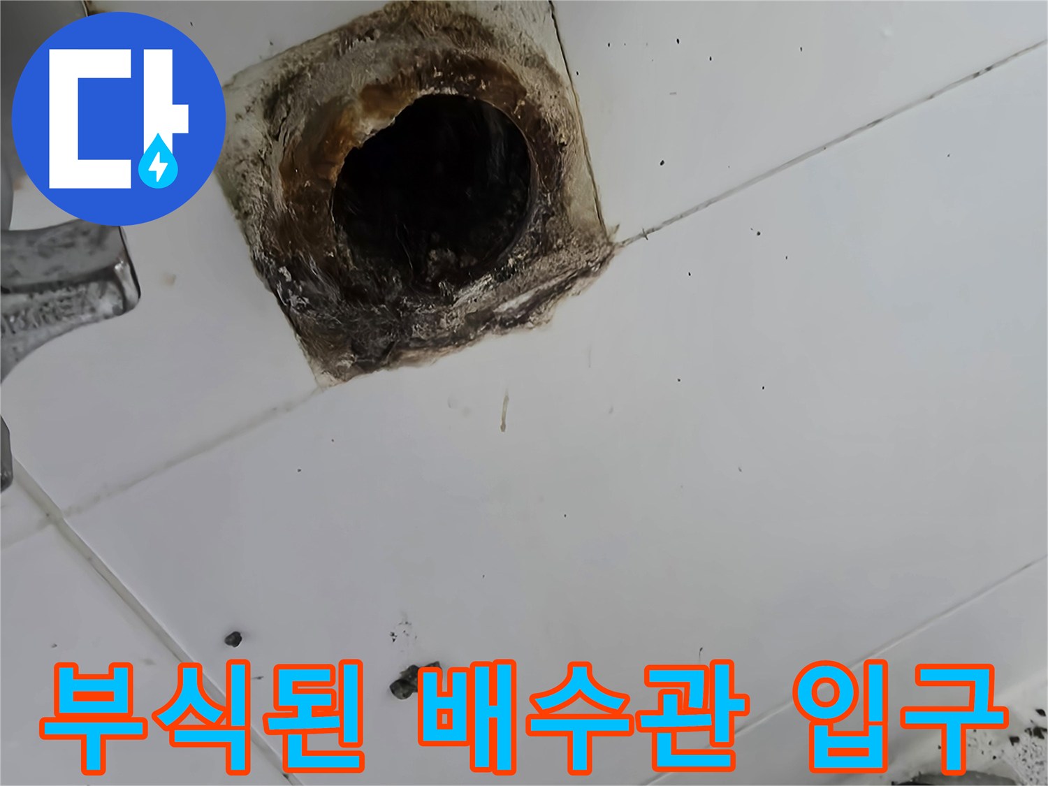 세면대 아래쪽 하수구 주변에 나타난 곰팡이와 배관 부식 흔적