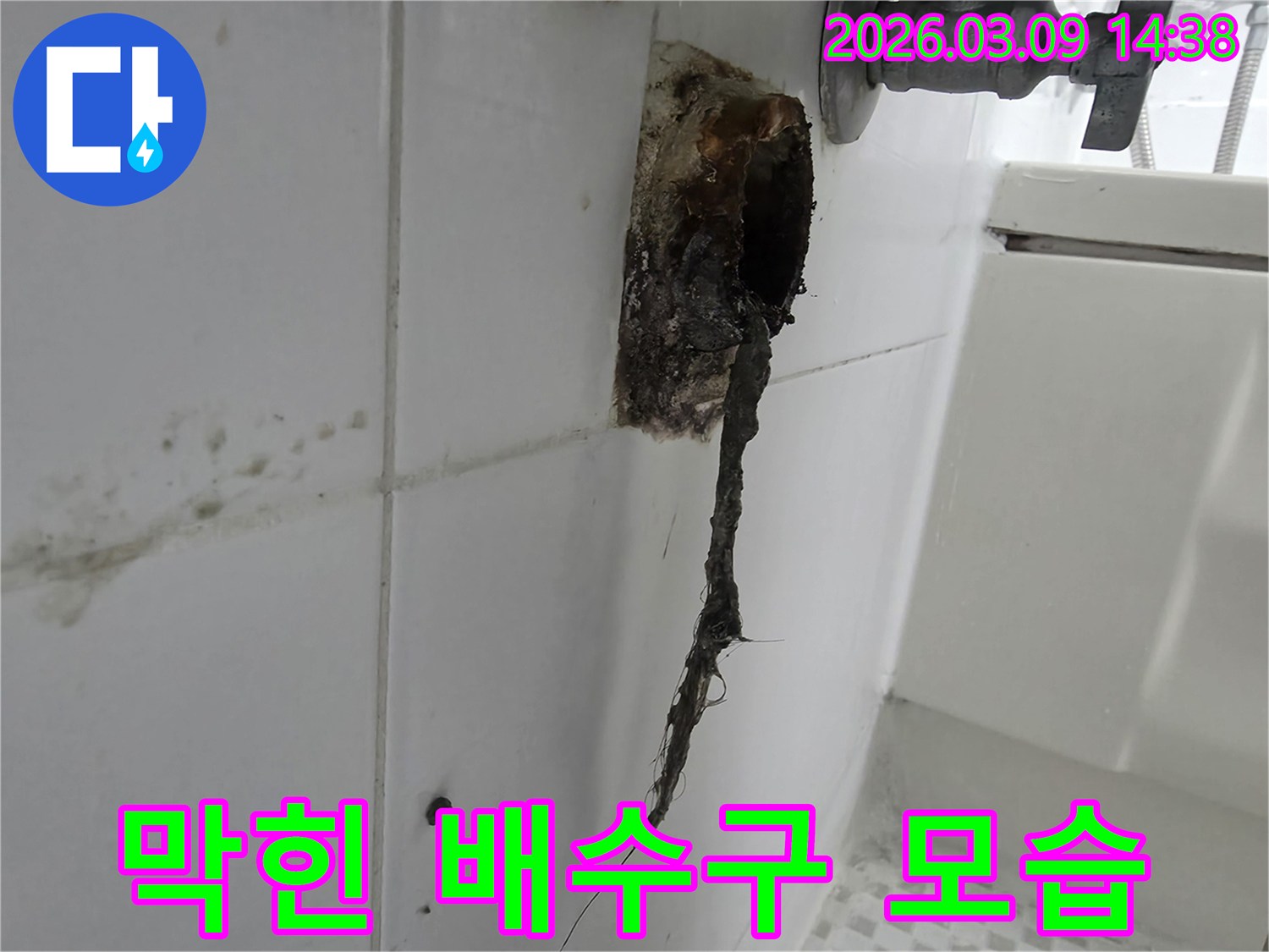 오래된 욕실 배수구에서-심각한 이물질이-밖으로 튀어나온-모습을-보여주는-사진입니다.