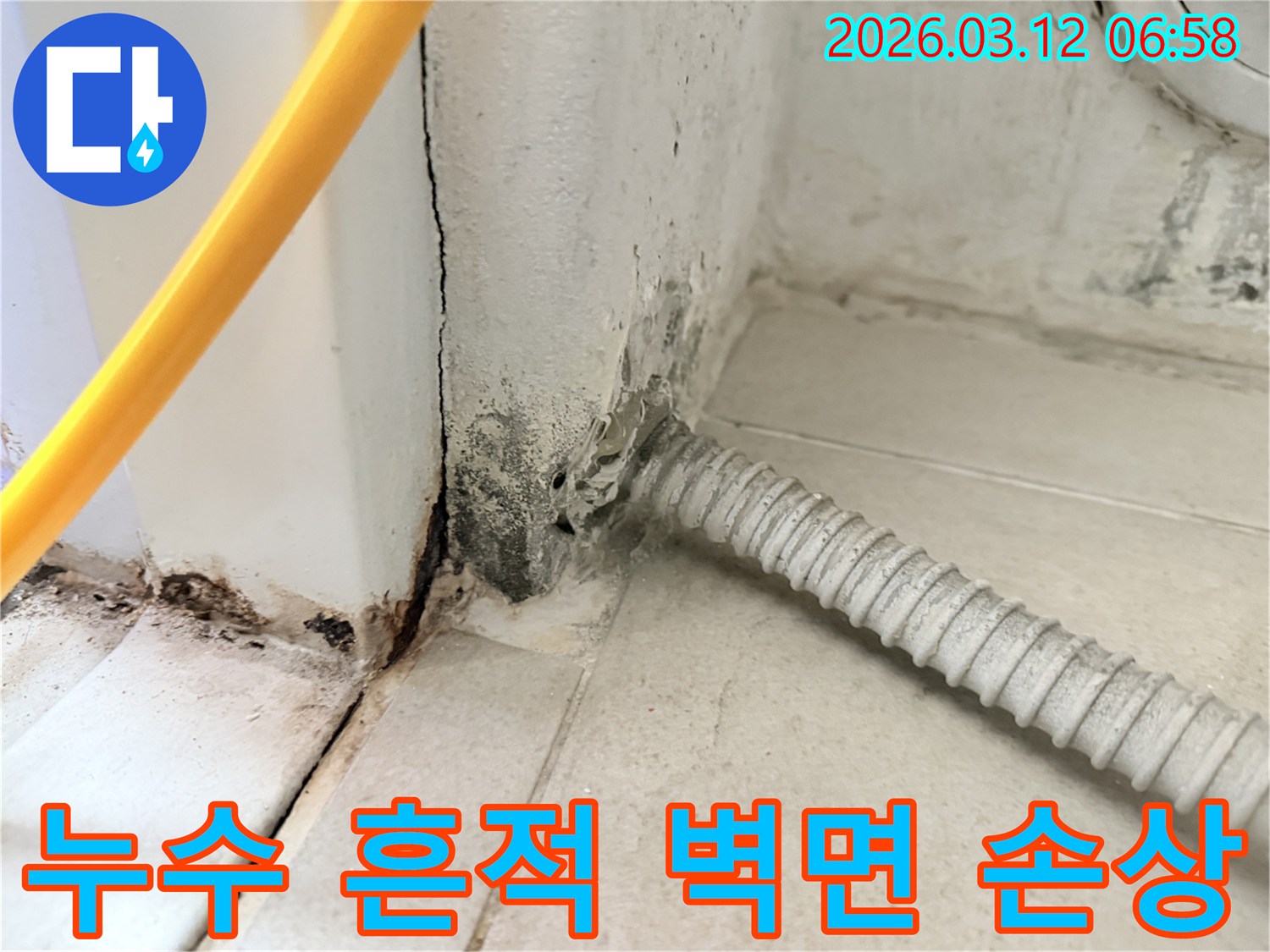 물샘-현상으로-인해-벽지가-손상되고-곰팡이가-번진-마포구-주택-내부