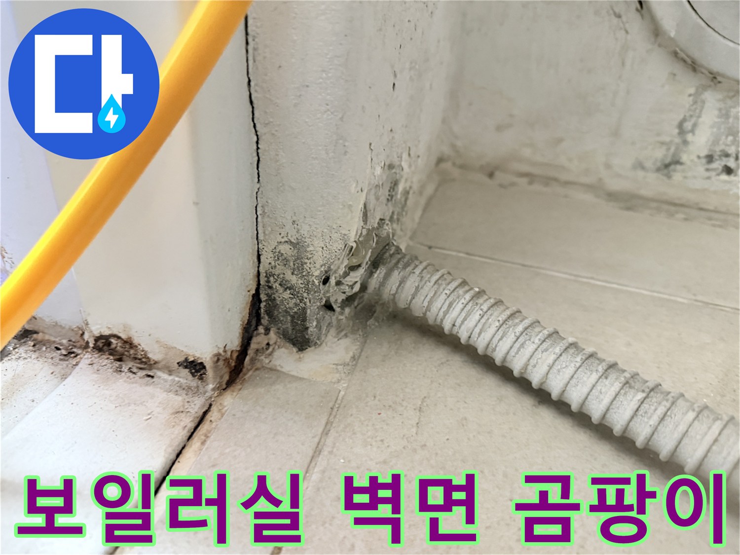 보일러실-벽면-틈새-곰팡이와-물자국-상태