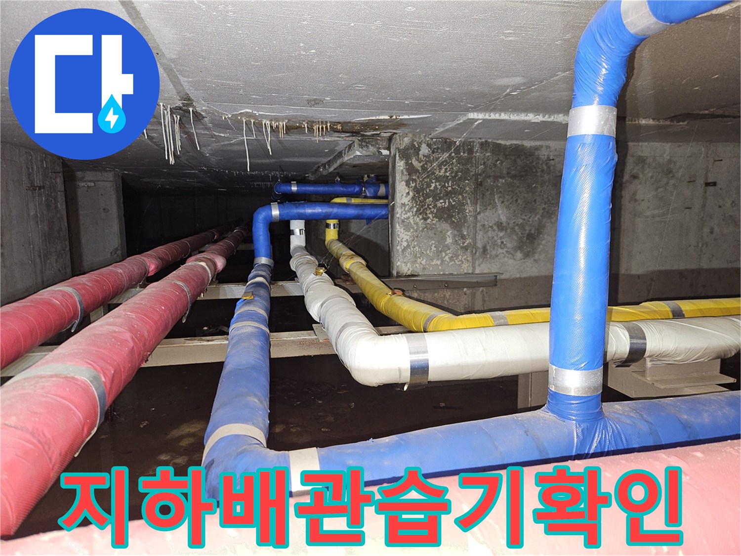 물기를 머금은 지하층 배관 - 빌라 내부 누수 지점 조사