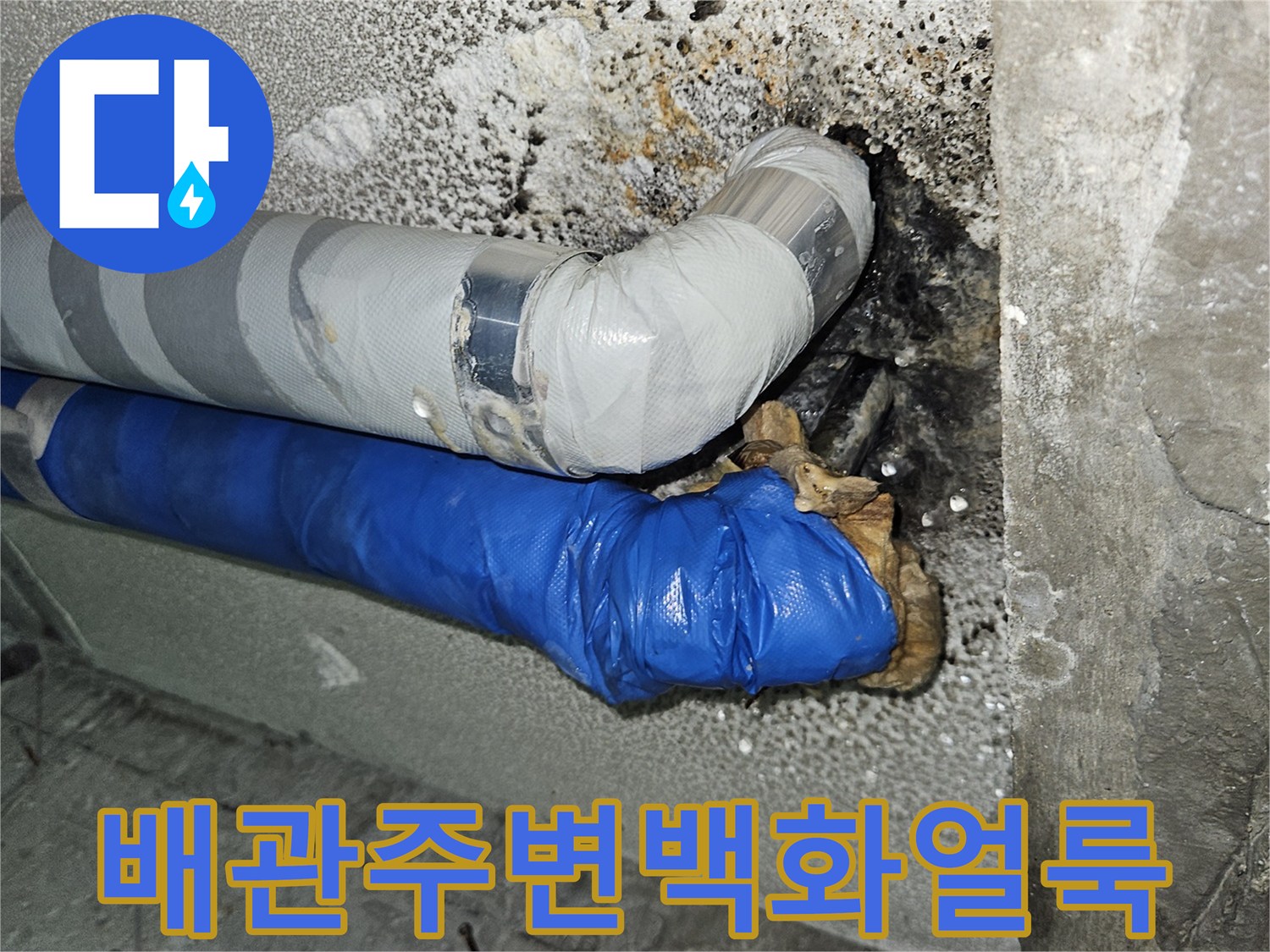 분당 구미동-물샘으로 인해 하얗게 변한 배관 주변 콘크리트