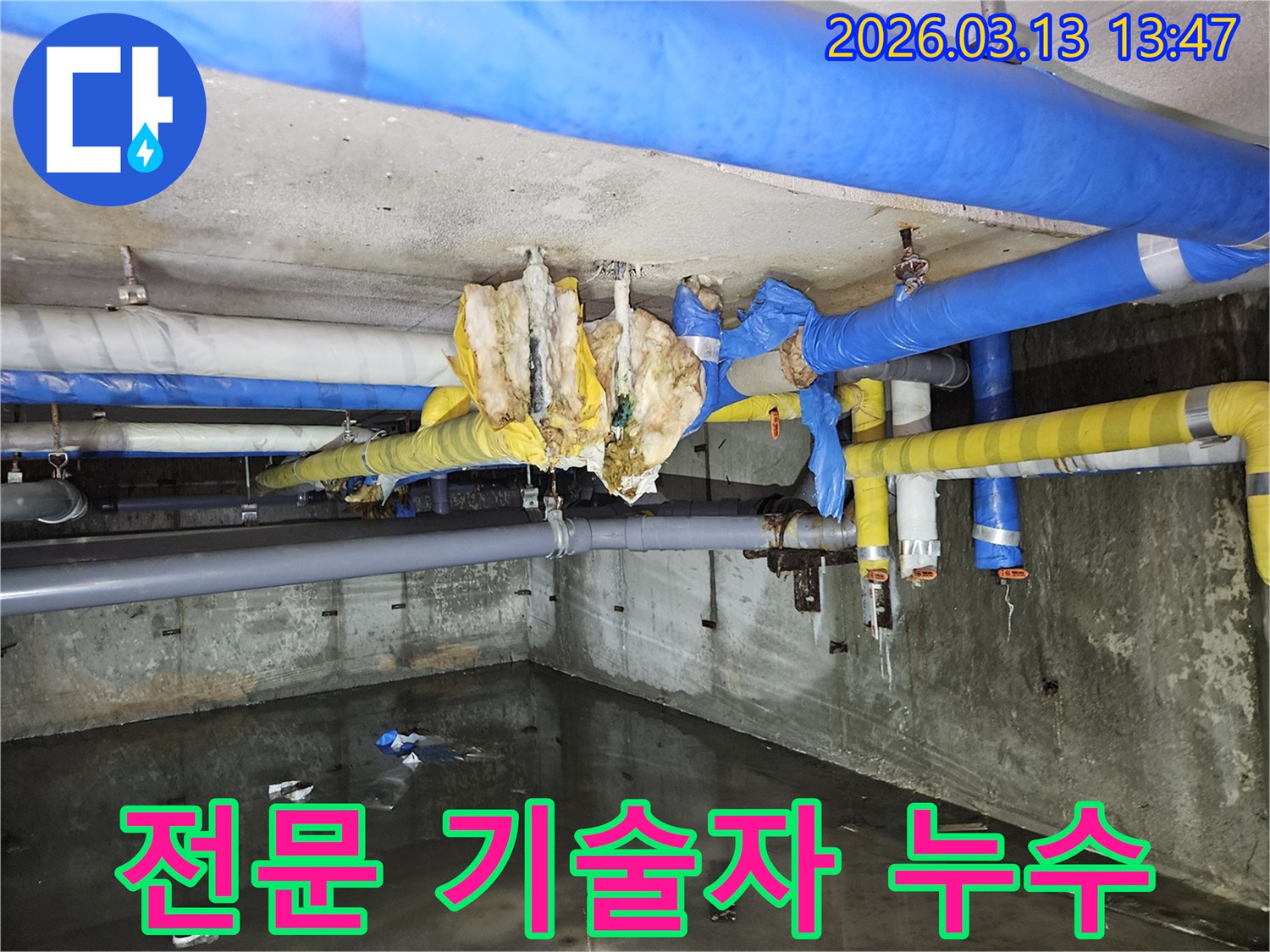 숙련된-전문-기술자가-정확한-판단으로-누수-문제를-해결하는-지하-현장