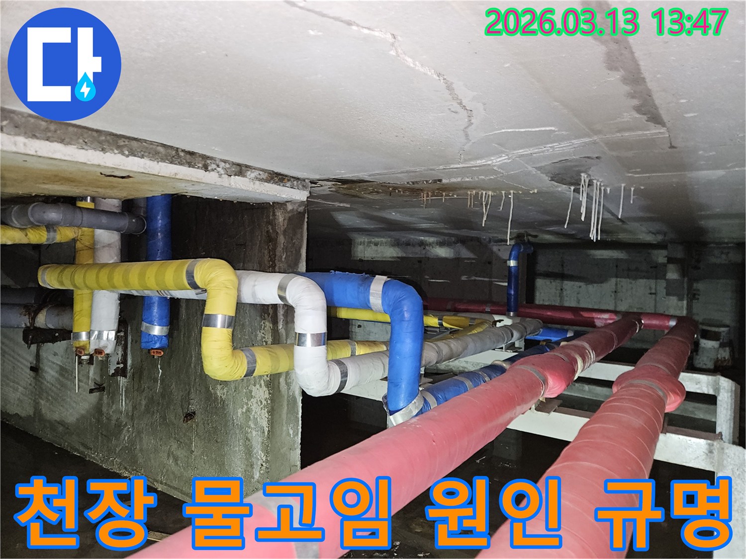 지하 천장에서-물이 떨어져-바닥에 깊게 고인-심각한 누수 상황을-보여주는 현장 사진