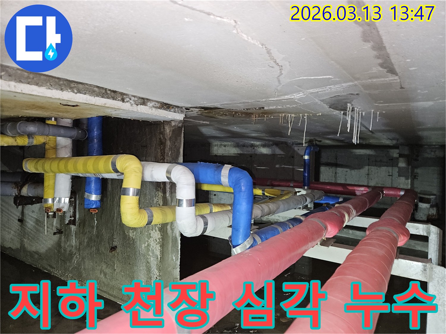 지하 천장에서-물이 뚝뚝 떨어지고-바닥에 고인 물이-심각한 누수 상황을-보여주는 현장 이미지