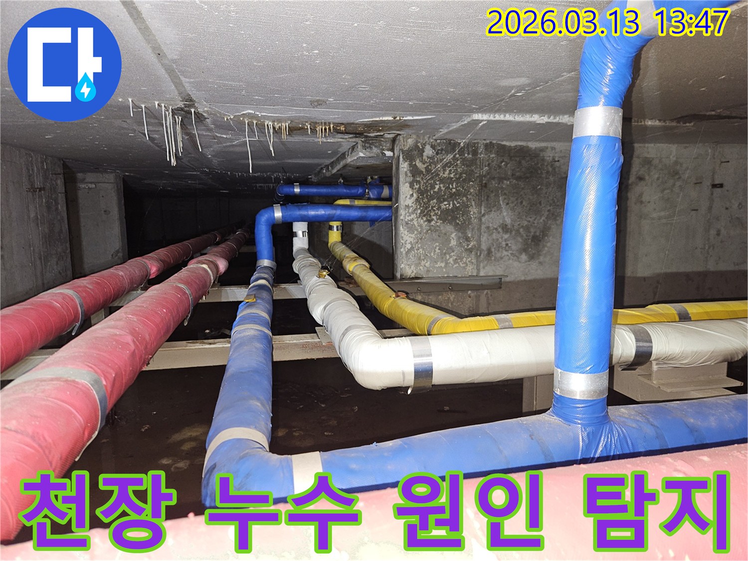 천장-콘크리트에서-물방울이-떨어지는-심각한-누수-현장을-정밀하게-조사하는-모습