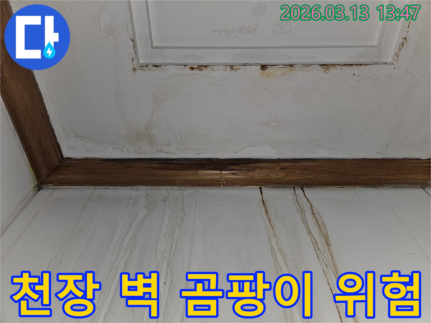 천장과 벽면에 광범위하게 퍼진-물 얼룩과 함께 곰팡이가 발생한-주거 공간의 심각한 누수 피해 현장