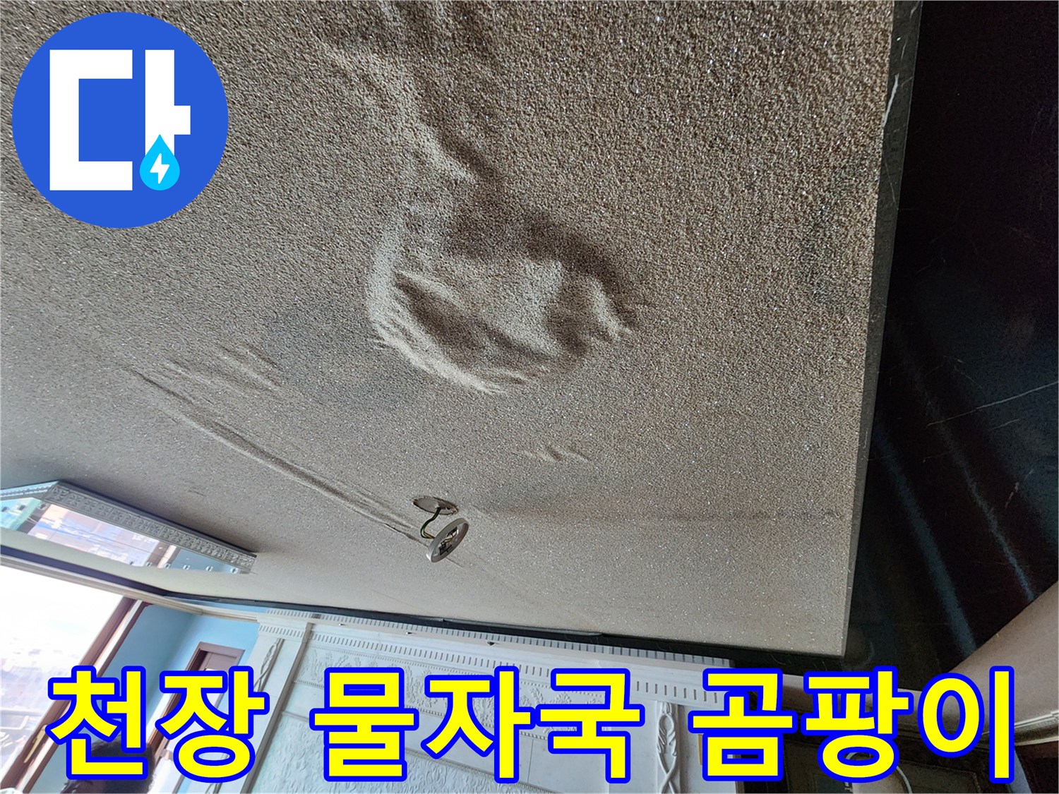 아랫집 거실 천장에 발생한 커다란 물자국과 곰팡이 상태