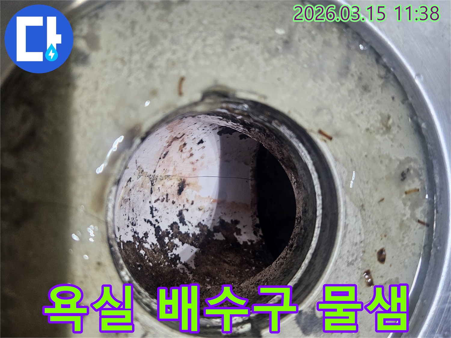 욕실-바닥-배수구-내부에-오염물과-슬러지가-쌓여-배수-불량과-악취를-유발하는-모습을-보여주는-사진입니다