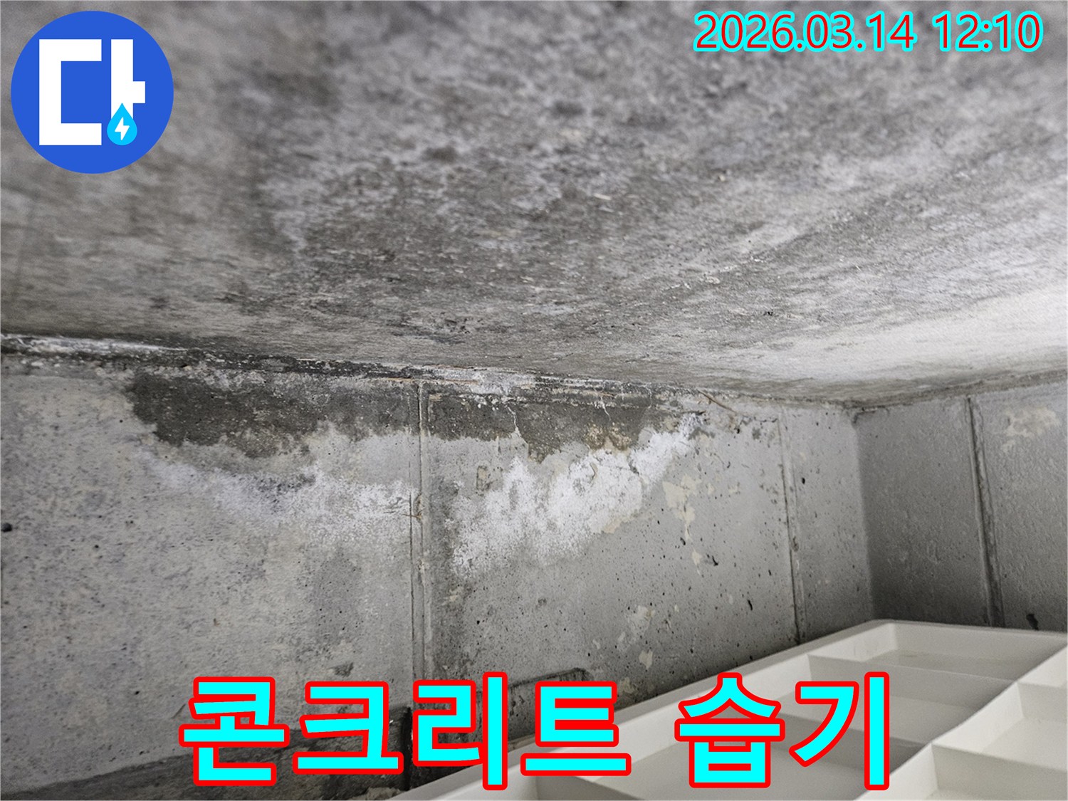 콘크리트-천장과-벽면-경계에서-발생한-누수로-인한-습기-침투와-변색