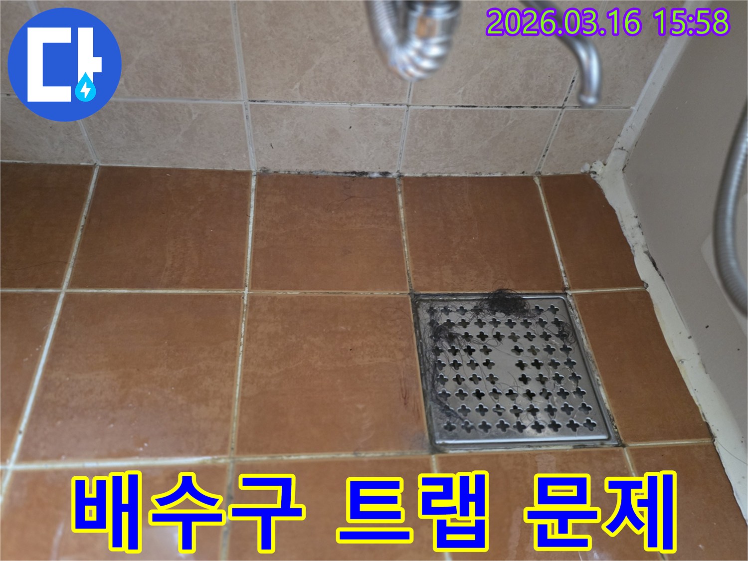 욕실 바닥 배수구에-쌓인 머리카락과-이물질이-배수구 트랩 문제로 인한-악취와 누수 발생의-가능성을 보여줍니다